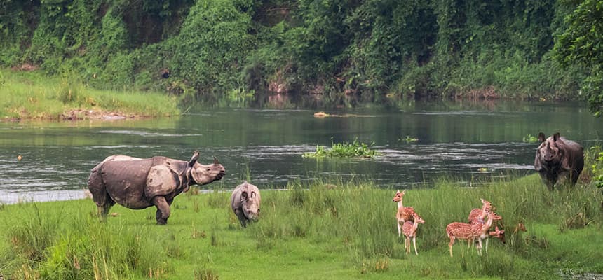 Trekking in Nepal