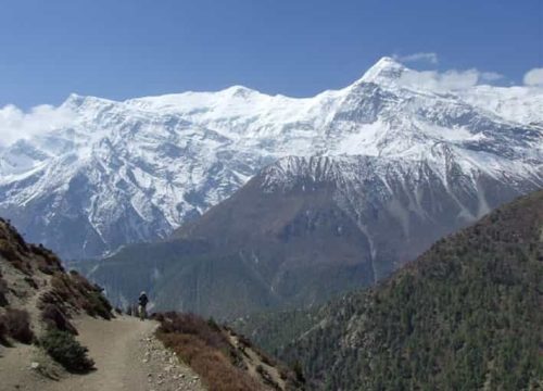 Panchese Trek - 3 days