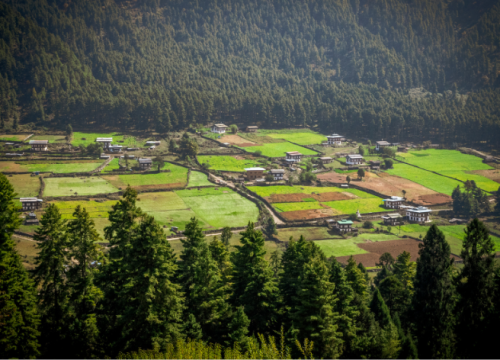 Phobjikha Valley Nature & Culture Retreat