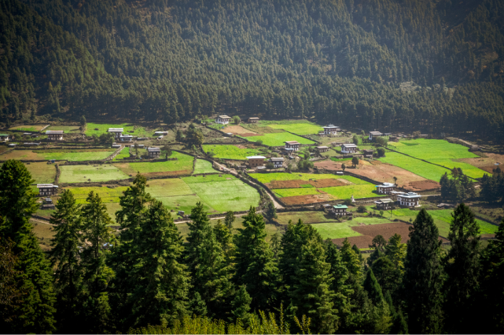 Phobjikha Valley Nature & Culture Retreat
