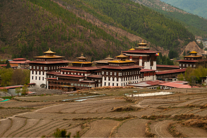 Paro →Thimphu Highlights Tour