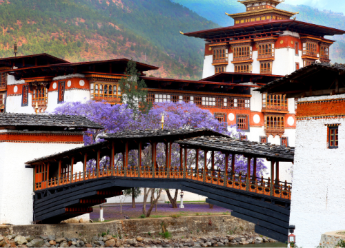 Punakha Valley Cultural Tour Package