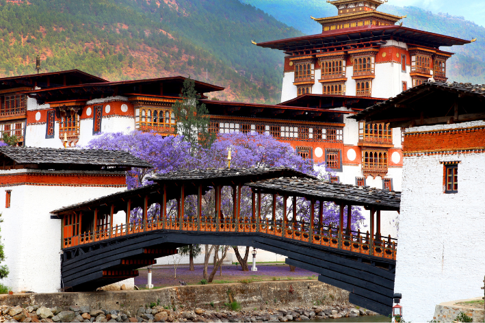 Punakha Valley Cultural Tour Package