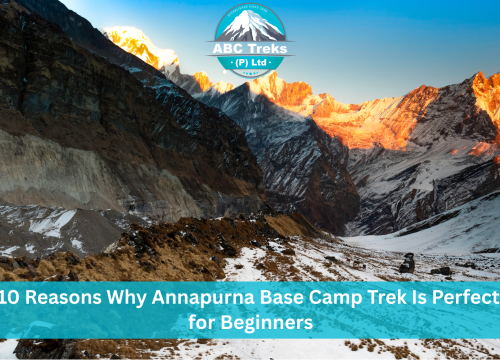 10 Reasons Why Annapurna Base Camp Trek Is Perfect for Beginners